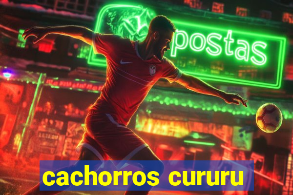 cachorros cururu